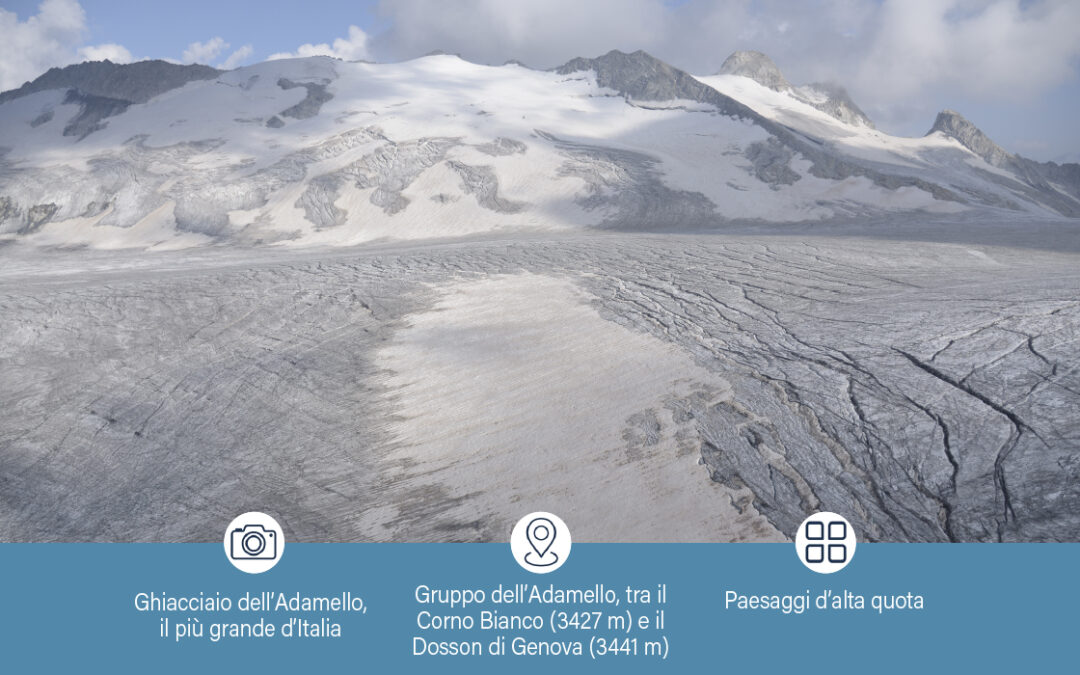 In rapido cambiamento – Marco Avanzini